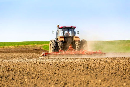 اجرای کشت حفاظتی در ۲۶ هزار هکتار از اراضی چهارمحال و بختیاری 