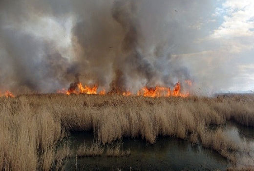 عراق نمی‌تواند آتش هورالعظیم را خاموش کند