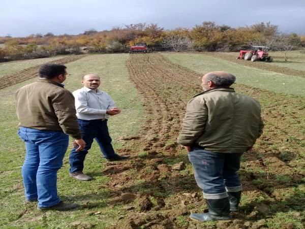 جهش تولید در 2500 هکتار دیمزارهای گلوگاه