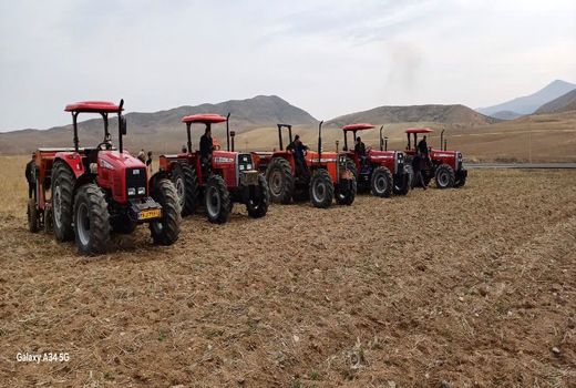 آذربایجان‌شرقی، رتبه نخست توسعه کشت علوفه‌ای در کشور  