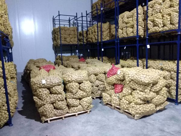 افتتاح سردخانه دومداره در لارستان