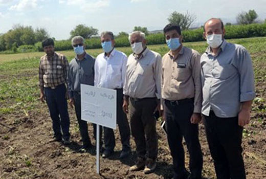 برگزاری کلاس های آموزشی و ترویجی به تعداد 295 نفر روز در خداآفرین