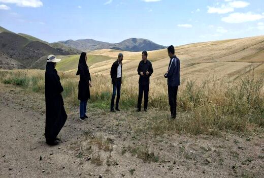 برنامه ریزی برای جایگزینی ارقام حساس به زنگ زرد با ارقام  مقاوم در شهرستان هوراند