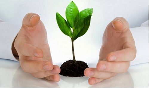 آغاز پرداخت ۷۰ میلیارد تومان غرامت بیمه شدگان محصولات کشاورزی 