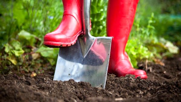 یک شرکت انگلیسی: حفاری باغچه برای خاک و محیط‌زیست مضر است