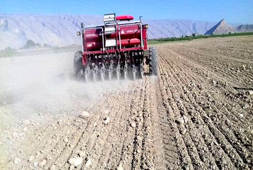 برگزاری کارگاه آموزشی کشت مکانیزه غلات