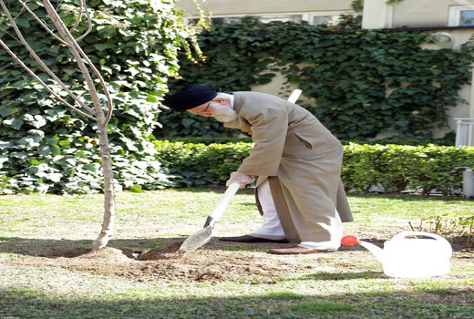 کاشت نهال در هفته منبع طبیعی