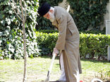کاشت نهال در هفته منبع طبیعی