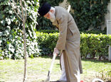 کاشت نهال در هفته منبع طبیعی