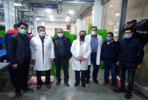 تشدید نظارت بر عرضه عمده گوشت مرغ در شهرستان مرند 