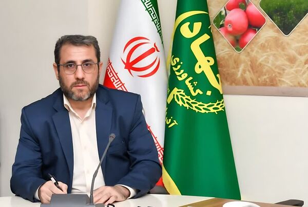 تعاون روستایی آذربایجان شرقی 9 هزار و 500 تن گندم خریداری کرد