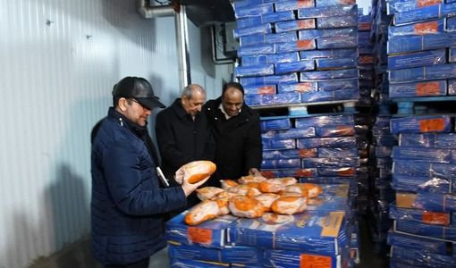 آغاز توزیع مرغ منجمد ۲۶۰ هزار تومانی در آذربایجان شرقی