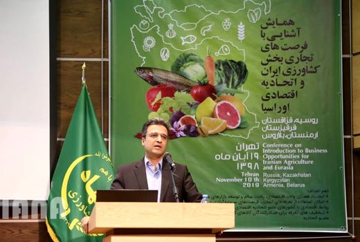 بهبود  4 میلیارد دلاری تراز تجاری بخش کشاورزی و غذای کشور