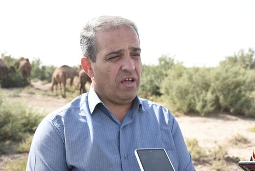 بخش ایلخچی شهرستان اسکو قطب پرورش شتر در شمال غرب کشور
