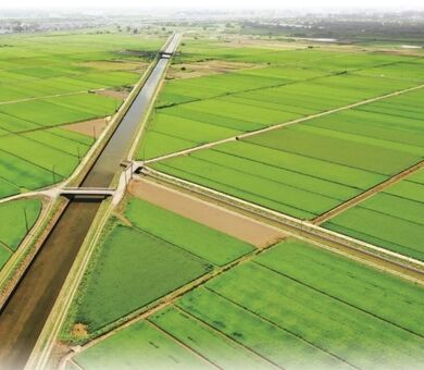 حسابداری آب؛ مبنای اصلاح الگوی کشت و عبور از کشاورزی پرمصرف