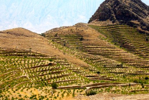 پویش ملی جهاد برای جهش تولید