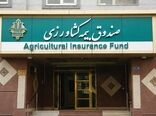 افزایش ۴۱ درصدی پست‌های سازمانی صندوق بیمه کشاورزی