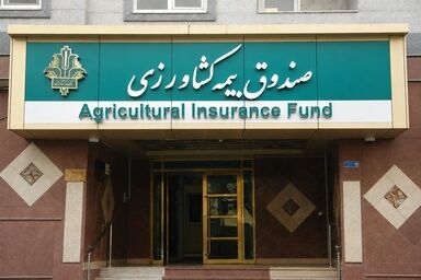 افزایش ۴۱ درصدی پست‌های سازمانی صندوق بیمه کشاورزی