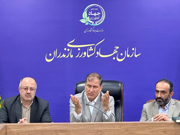 ساماندهی بازار مرکبات و‌ کیوی با هدف حمایت از تولیدکنندگان