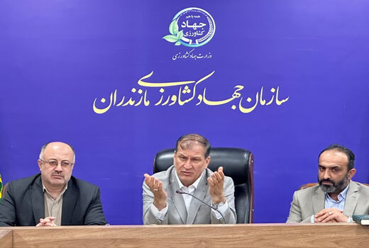 ساماندهی بازار مرکبات و‌ کیوی با هدف حمایت از تولیدکنندگان
