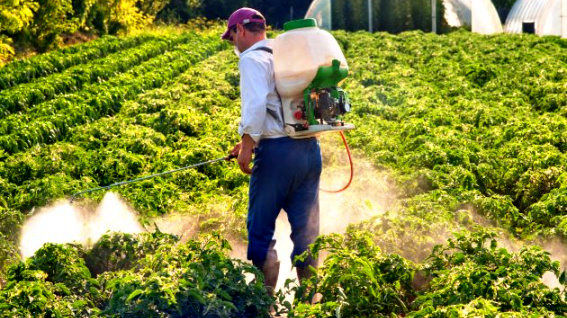 توزیع 16 هزار لیتر سموم کشاورزی توسط شبکه تعاون روستایی استان قزوین