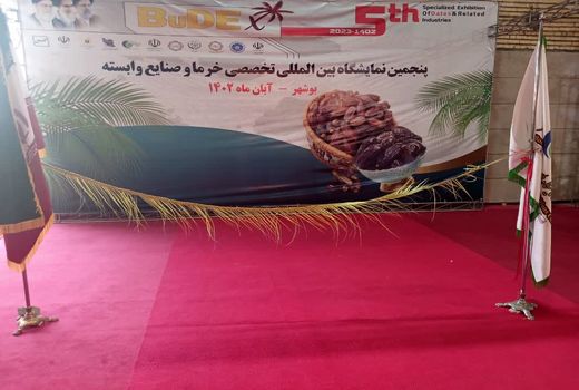 امرار معاش دو میلیون نفر در ایران از صنعت خرما 