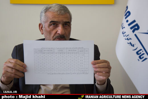 نمی‌توان‌امنیت غذایی کشوررابه واردات گره زد