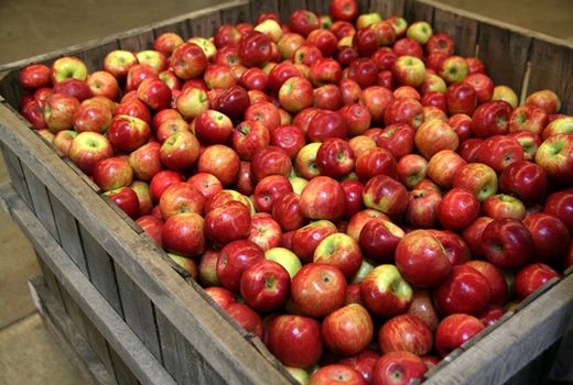 صادرکننده معجزه نمی‌کند