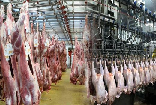فعالیت کلیه کشتارگاههای دام‌ و‌ طیور در ایام پایانی تعطیلات نوروزی 