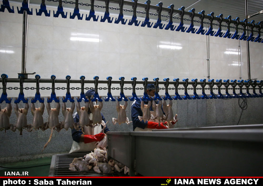 وزیر در اصفهان