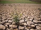 سایه شوم خشکسالی بر مزارع خراسان رضوی