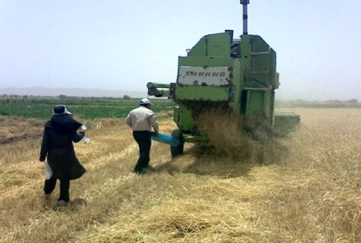 ورود بیش از 1200 دستگاه کمباین و تراکتور با جذب اعتبارات مکانیزاسیون