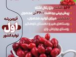  طمعی برای ایران و جهان ، زغال اخته قزوین