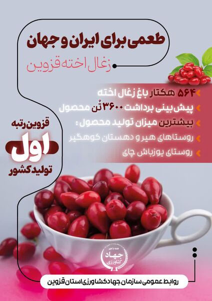 طمعی برای ایران و جهان ، زغال اخته قزوین