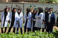 6 ماه کارورزی برای دانشجویان کشاورزی الزامی شد