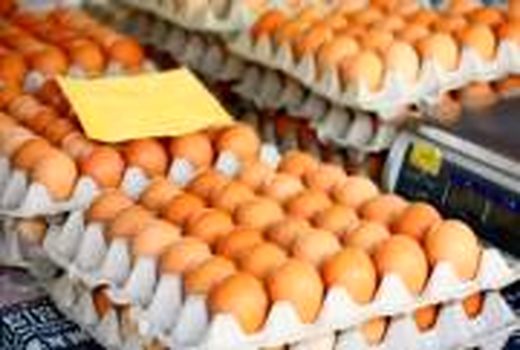افزایش 58 درصدی قیمت تخم مرغ