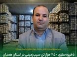 ذخیره سازی ۲۵۰ هزار تن سیب‌زمینی در استان همدان 