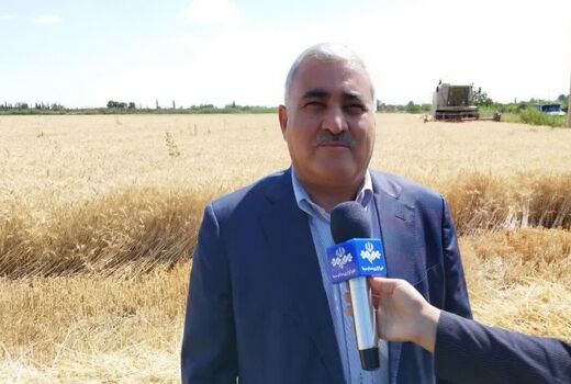 پرداخت مطالبات گندم‌کاران آذربایجان غربی