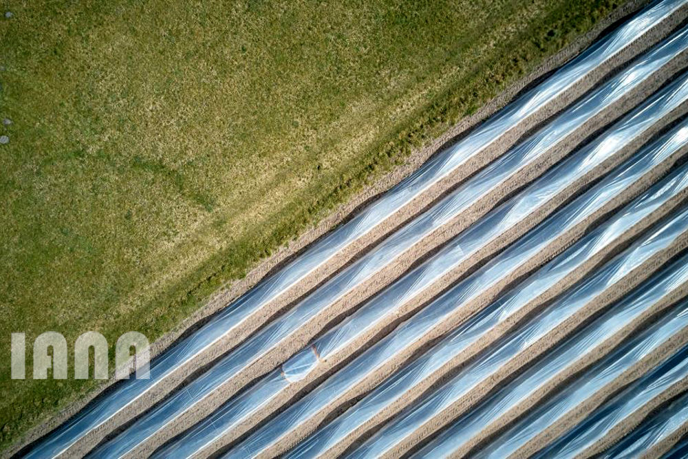 هندسه کشاورزی