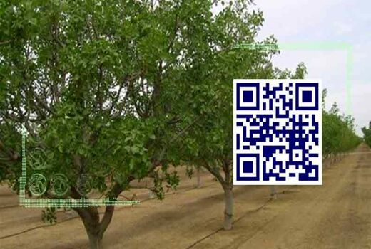 هزار هکتار باغ و مزرعه در قیروکارزین شناسنامه دار شد
