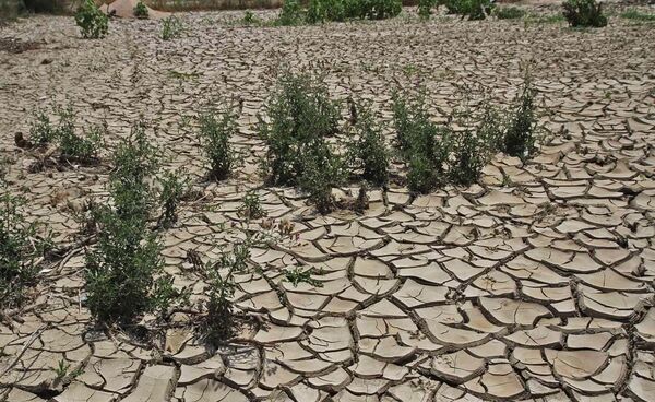 ضرورت انسجام درون سازمانی در مدیریت منابع آبی و کاهش اثرات خشکسالی