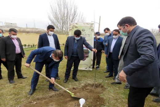 غرس یک اصله نهال میوه توسط رئیس کل دادگستری استان به مناسبت هفته درختکاری