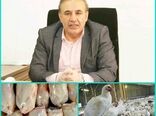 ذخیره‌سازی 174 تن گوشت مرغ از ابتدای سال 99