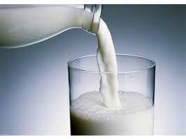 تولید 22 هزار تن شیر در میاندورود مازندران