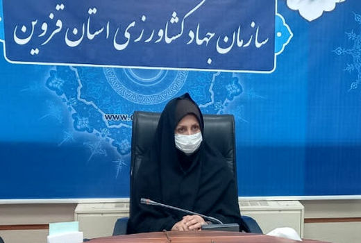 استخرهای نیمه تمام ذخیره آب کشاورزی امسال تکمیل می‌شوند