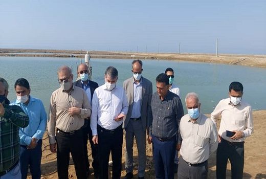 ایجاد سازمان توسعه تجارت محصولات کشاورزی جهت ساماندهی حوزه بازار