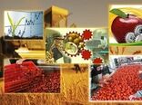 صنایع تبدیلی و غذایی پیشتاز  در سرمایه گذاری بخش کشاورزی هستند 