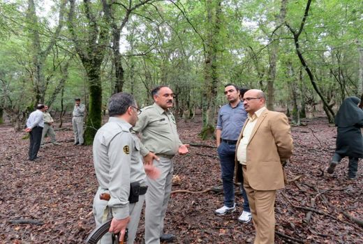 تیمار یک مرال وحشی سر صحنه سریال «خانواده دکتر ماهان»