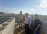 برگزاری کارگاه آموزشی پرورش آبزیان و ماهیان خاوری در ارزوئیه