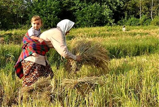 اجلاس منطقه‌ای زنان در تهران برگزار می‌شود